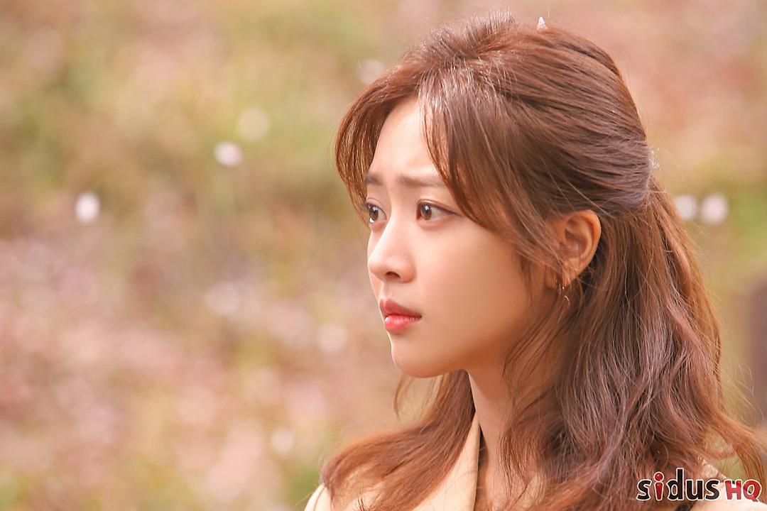 《森林》海报第54张图片 《森林》海报第54张图片