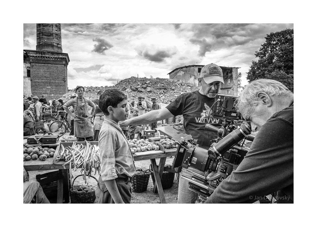 《被涂污的鸟》海报第16张图片 《被涂污的鸟》海报第16张图片