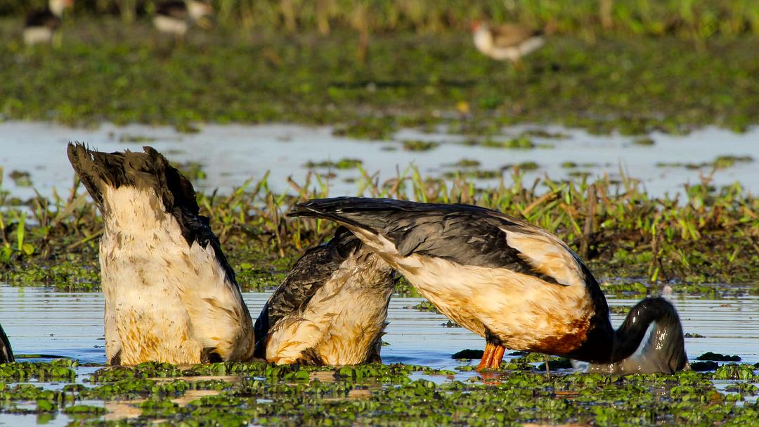 《全球绝美国家公园》剧照第5张图片 《全球绝美国家公园》剧照第5张图片